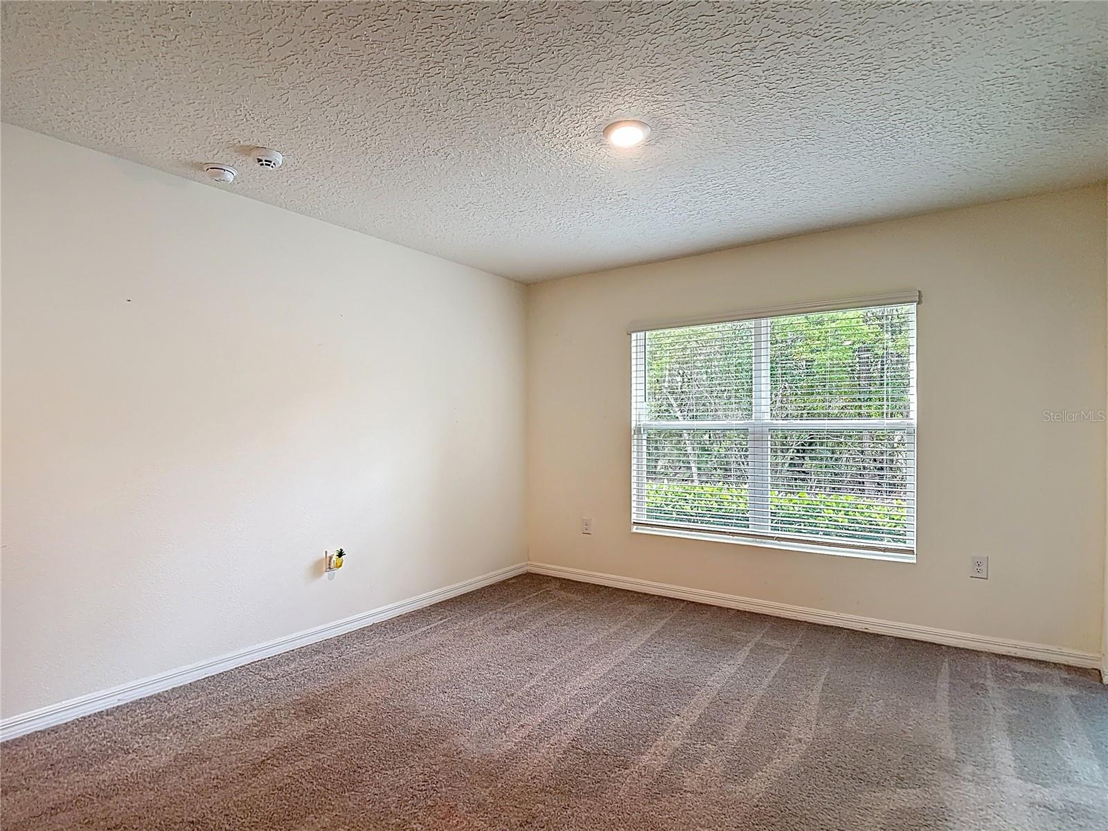 5274 Diantha Way Property Photo 21