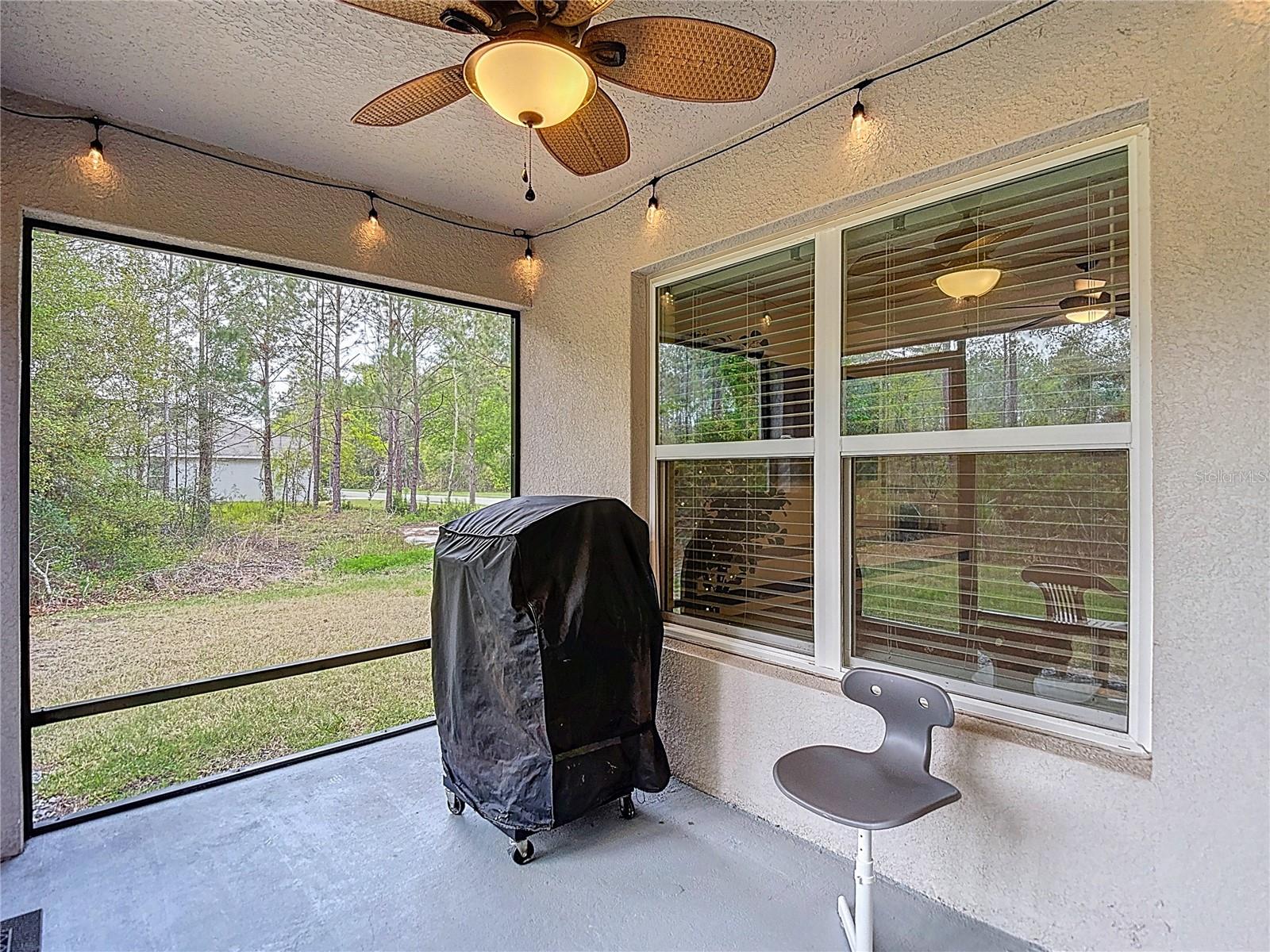 5274 Diantha Way Property Photo 43