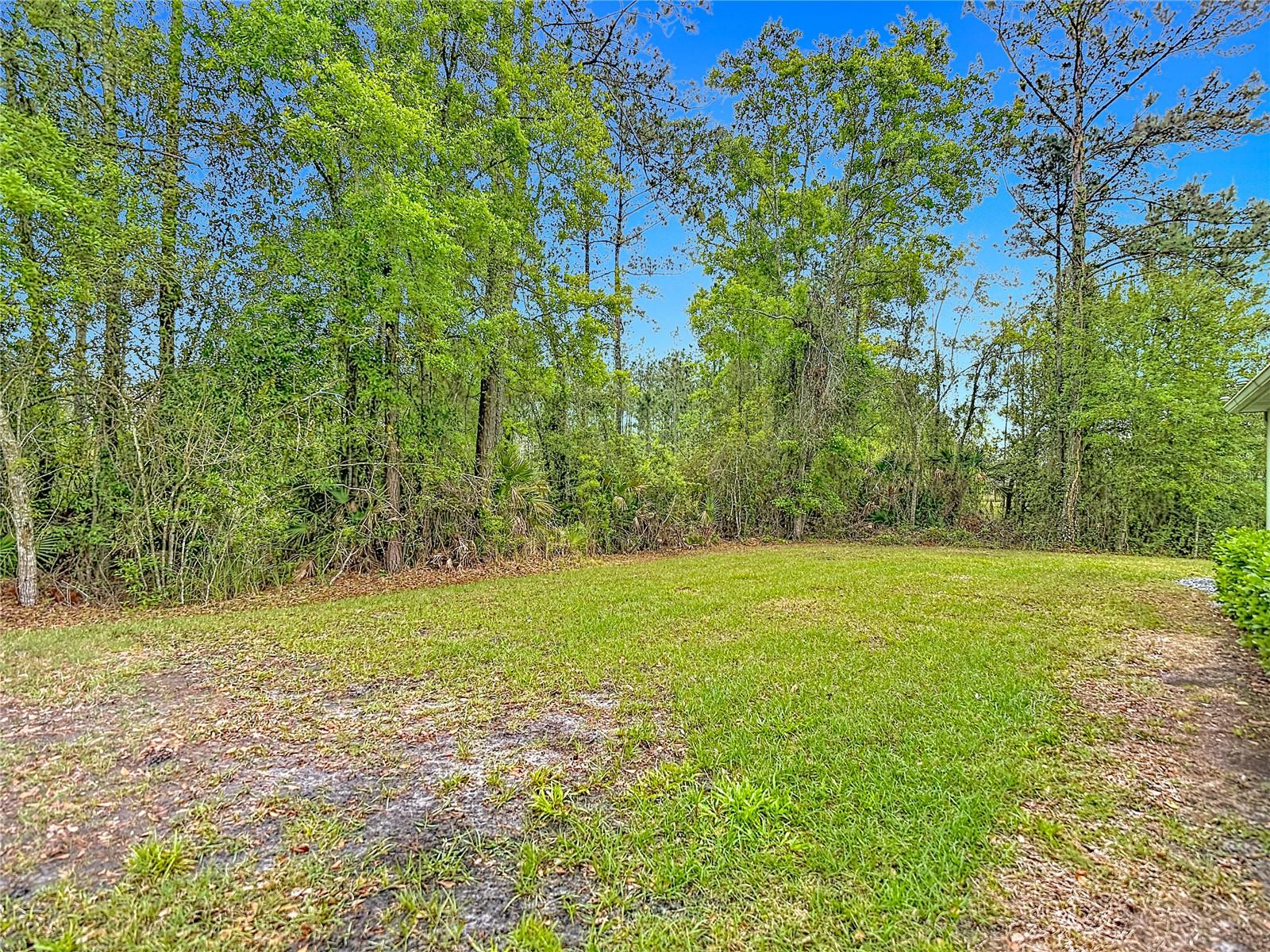 5274 Diantha Way Property Photo 46