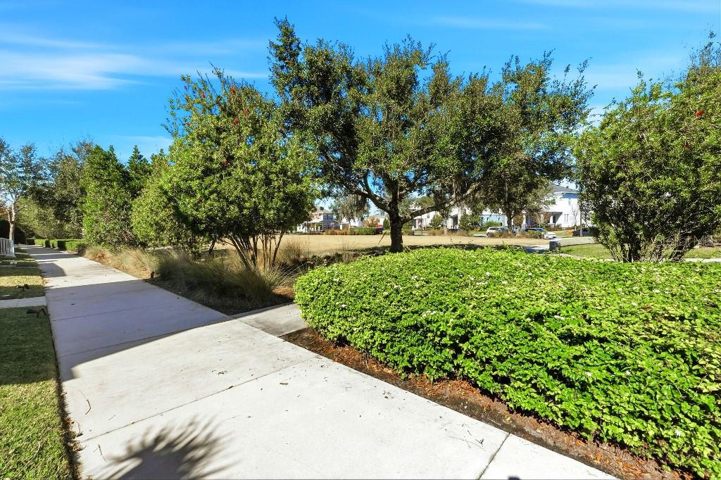 6955 Higgs Aly Property Photo 5