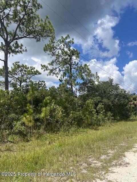 10194 YELLOW FROG AVE Property Photo 1