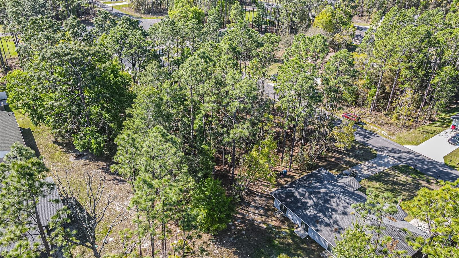 9411 N Mendoza Way Property Photo 3