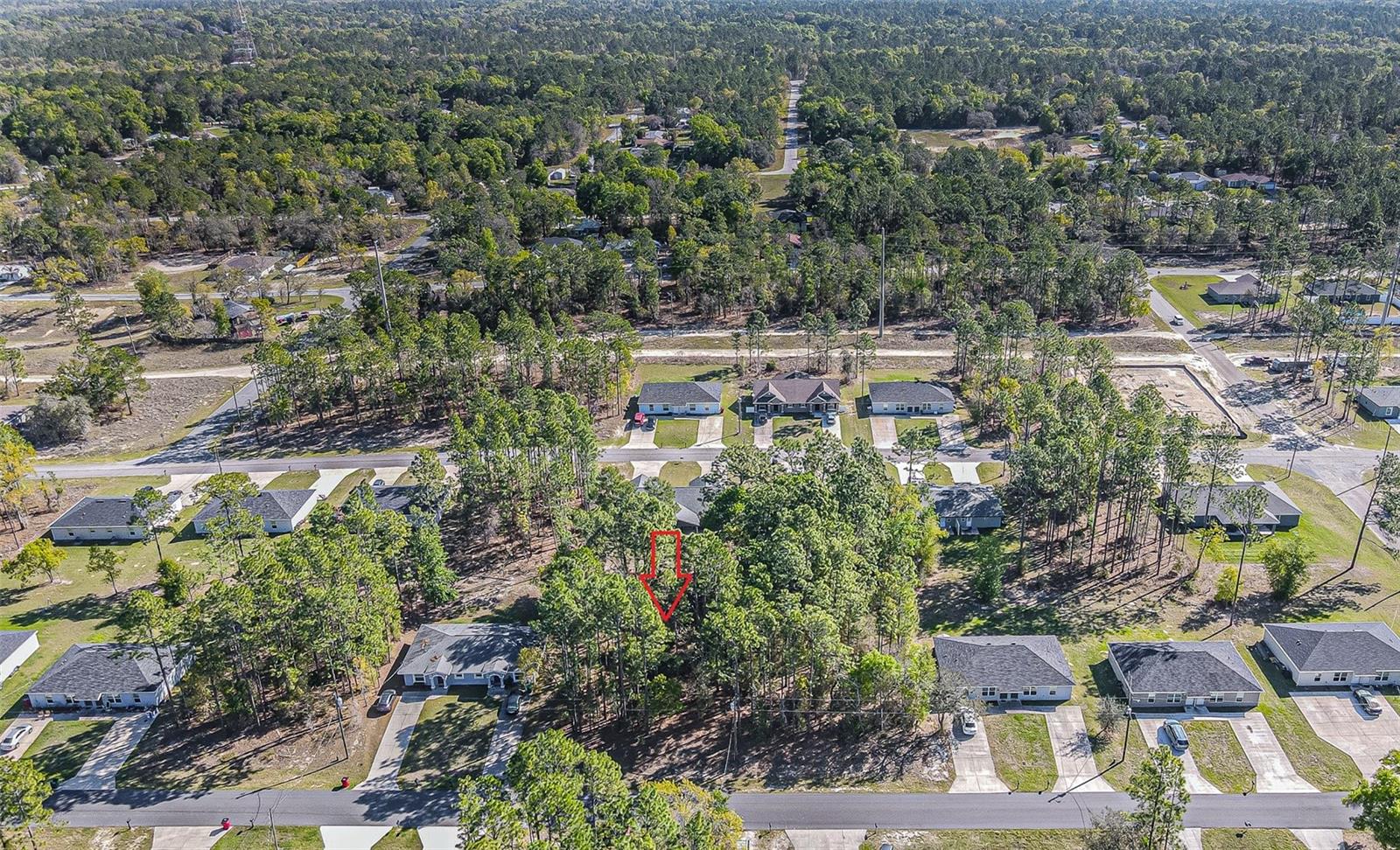 9411 N Mendoza Way Property Photo 10
