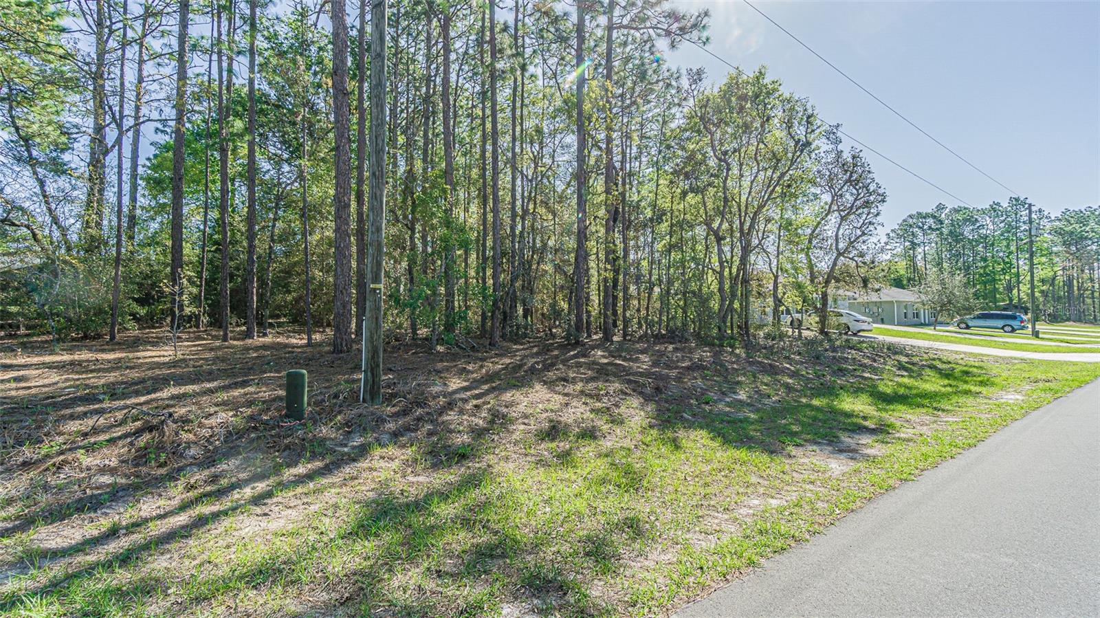 9411 N Mendoza Way Property Photo 13