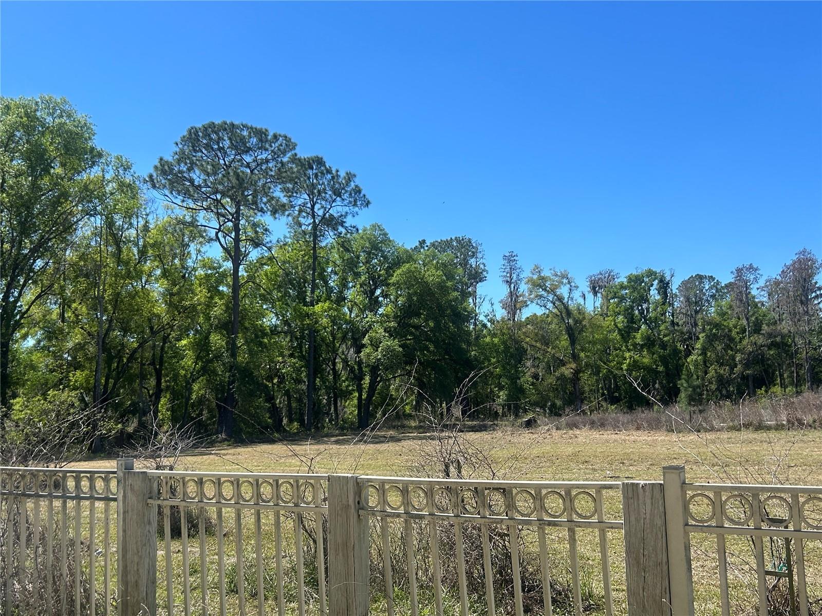 1565 Creek Rd Property Photo 4