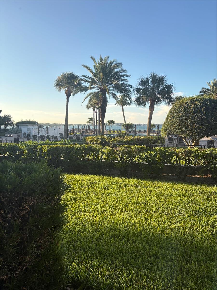 845 S Gulfview Blvd #110 Property Photo 15