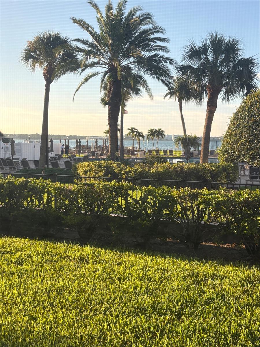 845 S Gulfview Blvd #110 Property Photo 17