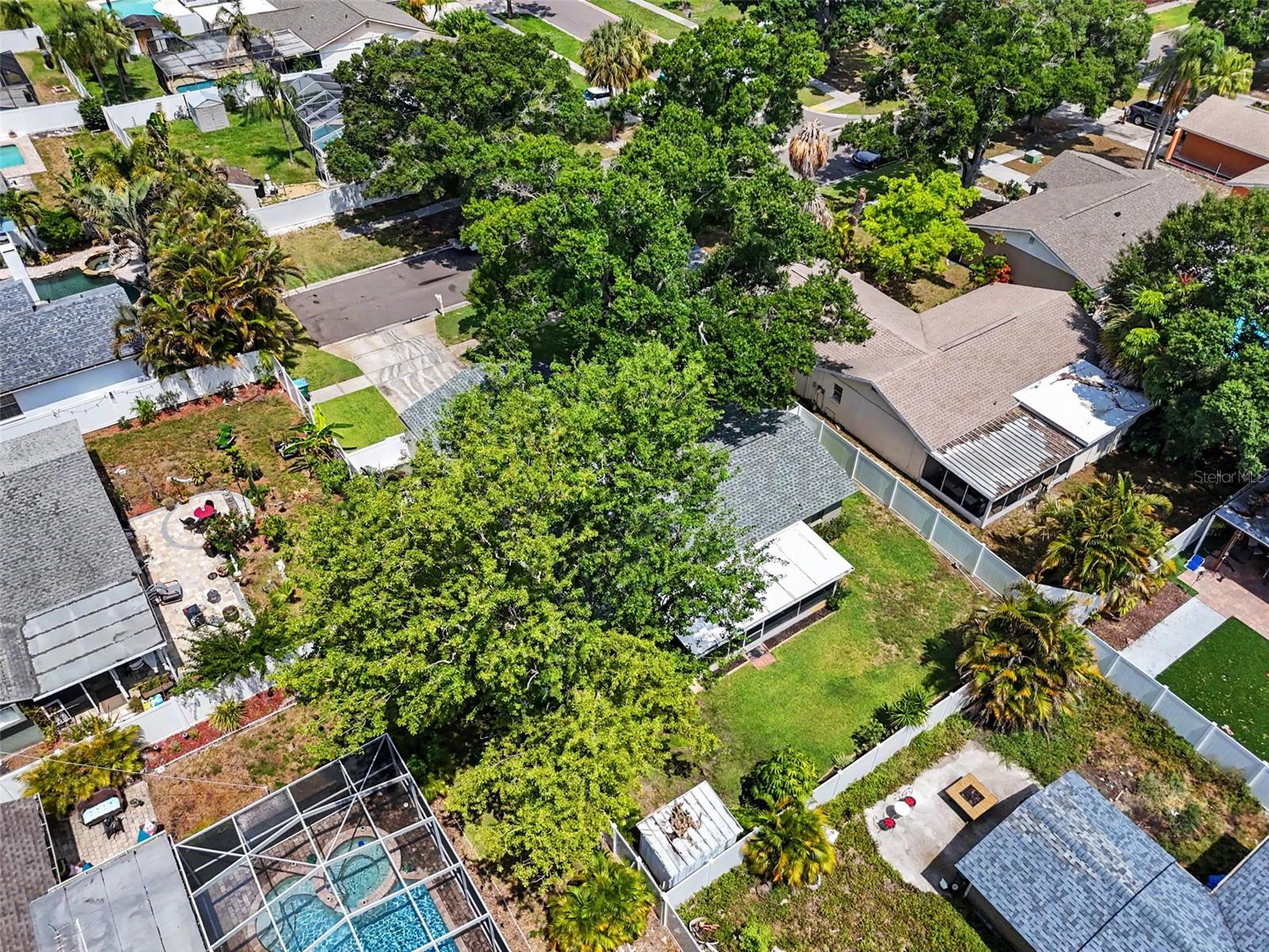 12431 Del Verde Dr Property Photo 36