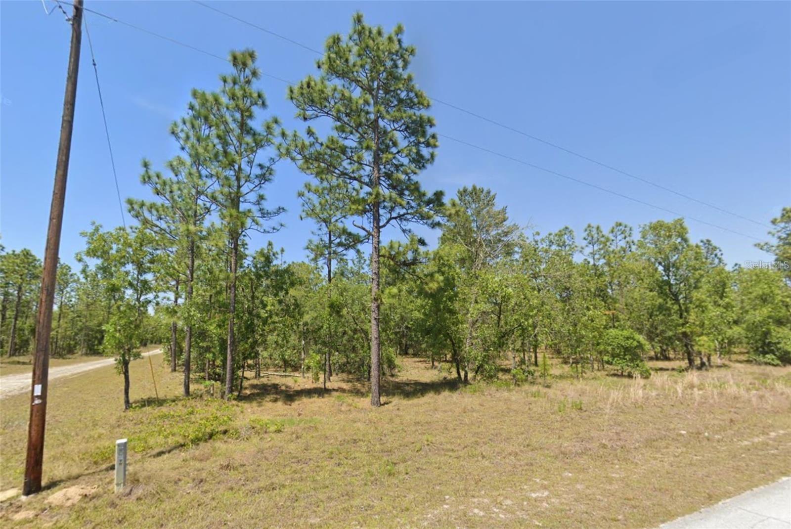 Lot 31 SE 133RD Property Photo 1