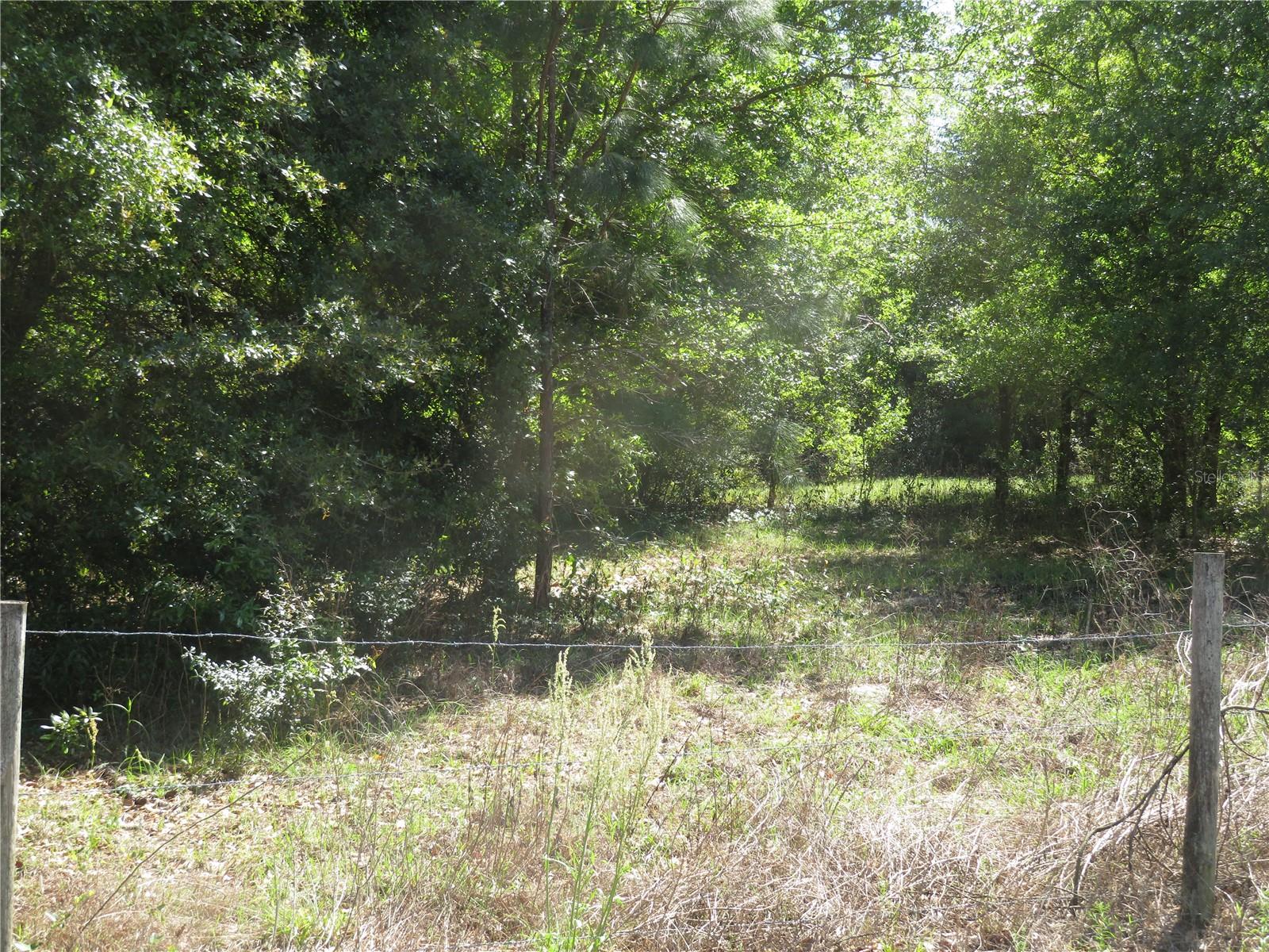TB8489454 Property Photo 1
