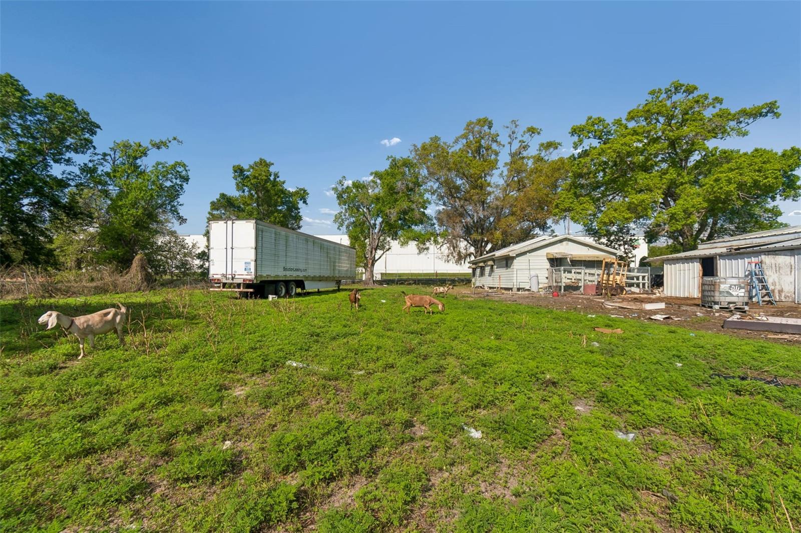 6213 Orient Rd Property Photo 38