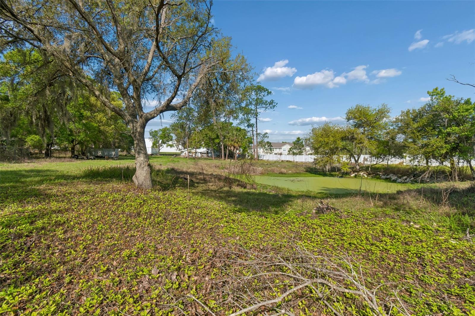 6213 Orient Rd Property Photo 47