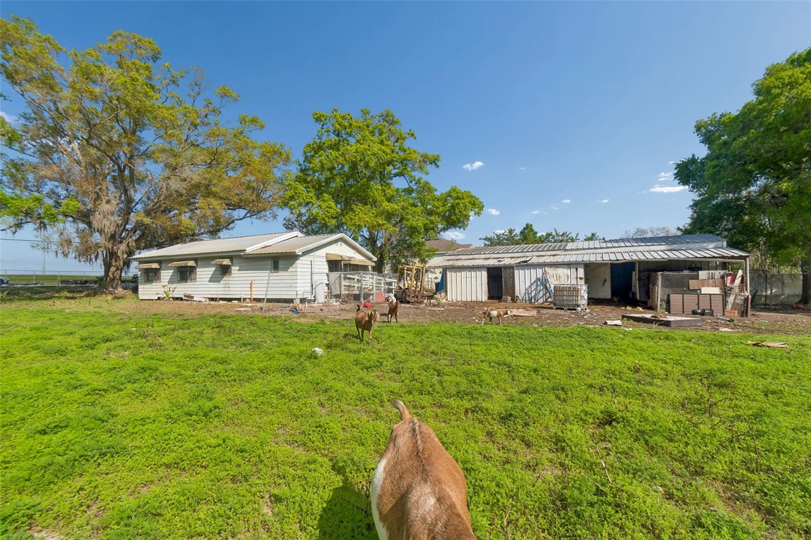 6213 Orient Rd Property Photo 49