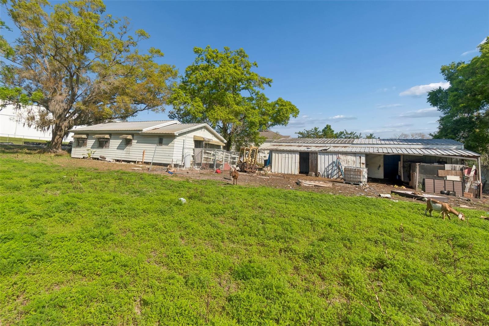 6213 Orient Rd Property Photo 50