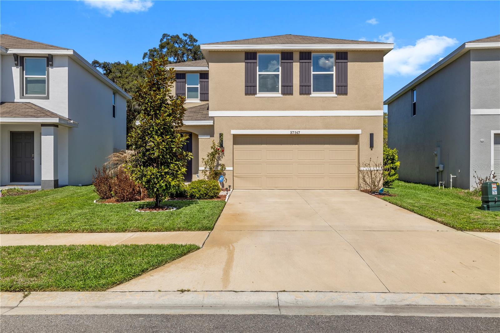 37247 Kings Crown Dr Property Photo