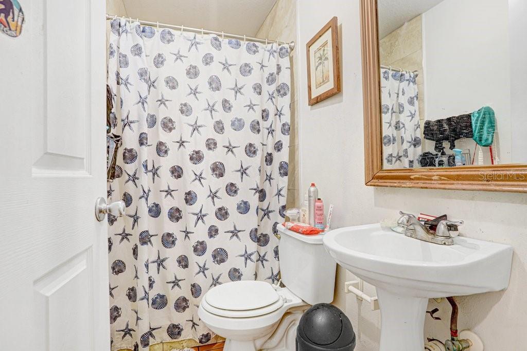 6923 N Himes Ave Property Photo 15
