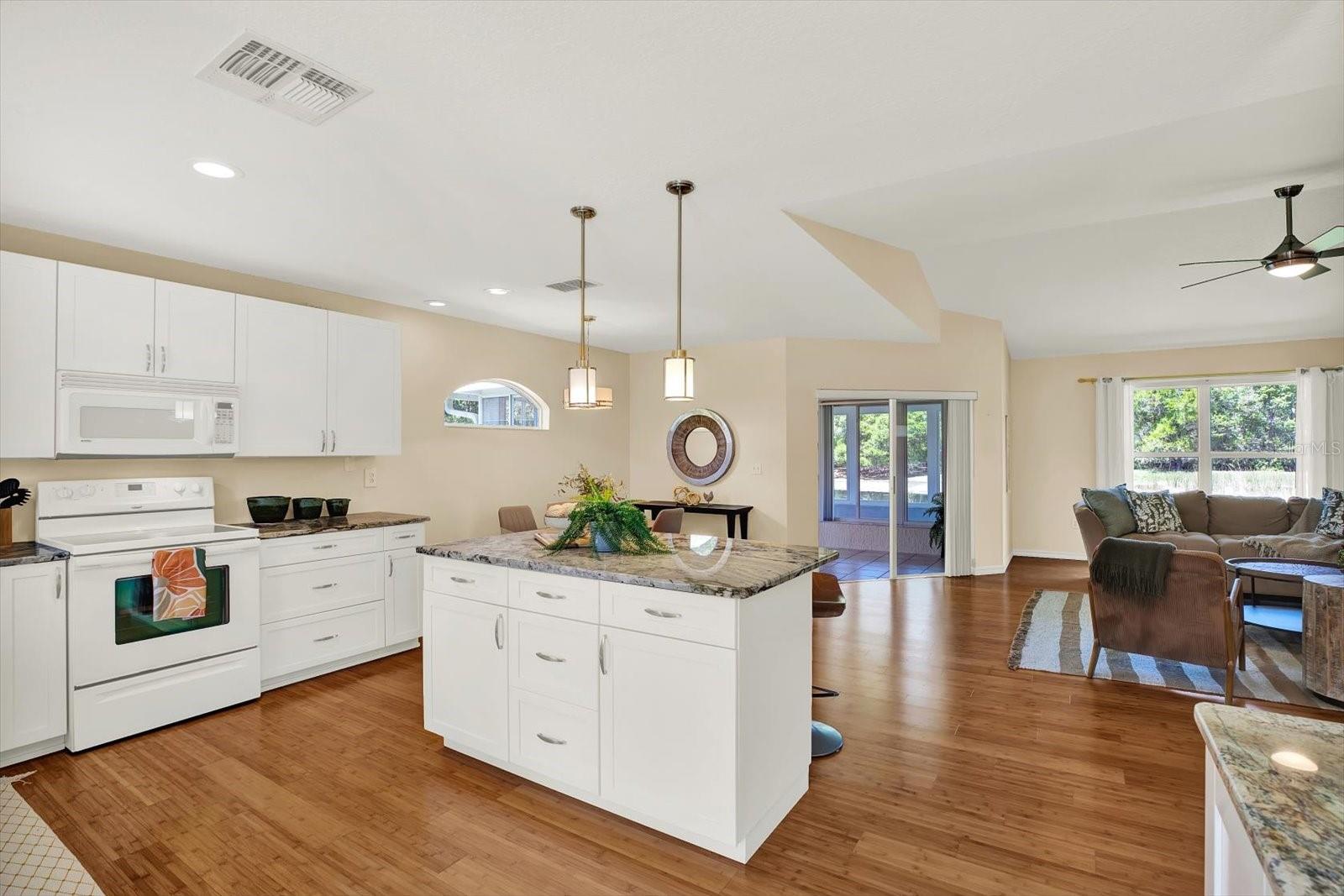 29451 Schinnecock Hills Ln Property Photo 4