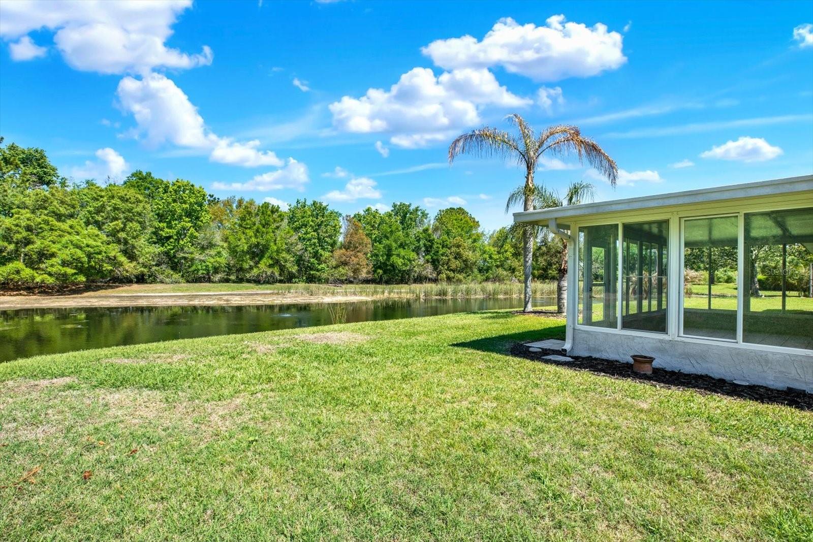 29451 Schinnecock Hills Ln Property Photo 40
