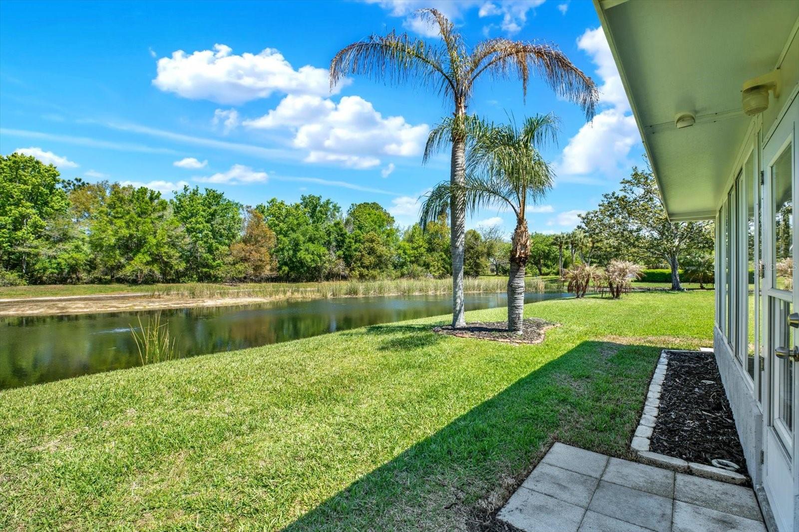 29451 Schinnecock Hills Ln Property Photo 41