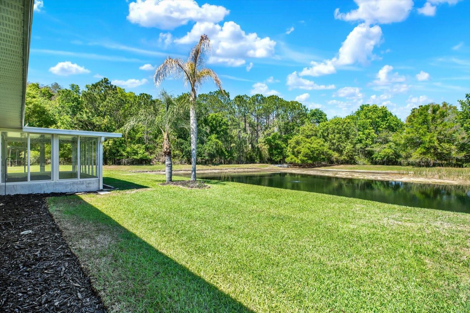 29451 Schinnecock Hills Ln Property Photo 42