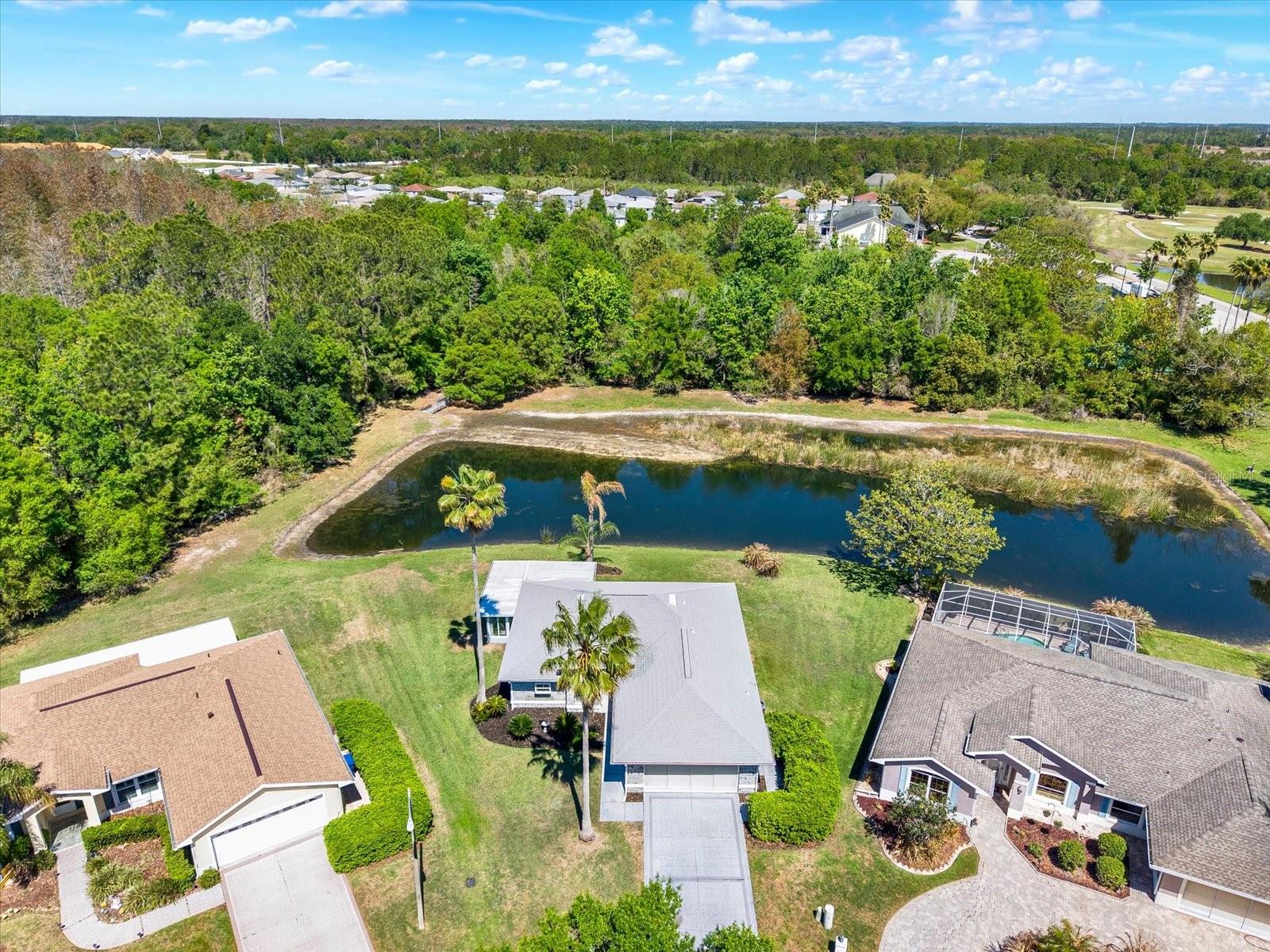 29451 Schinnecock Hills Ln Property Photo 45