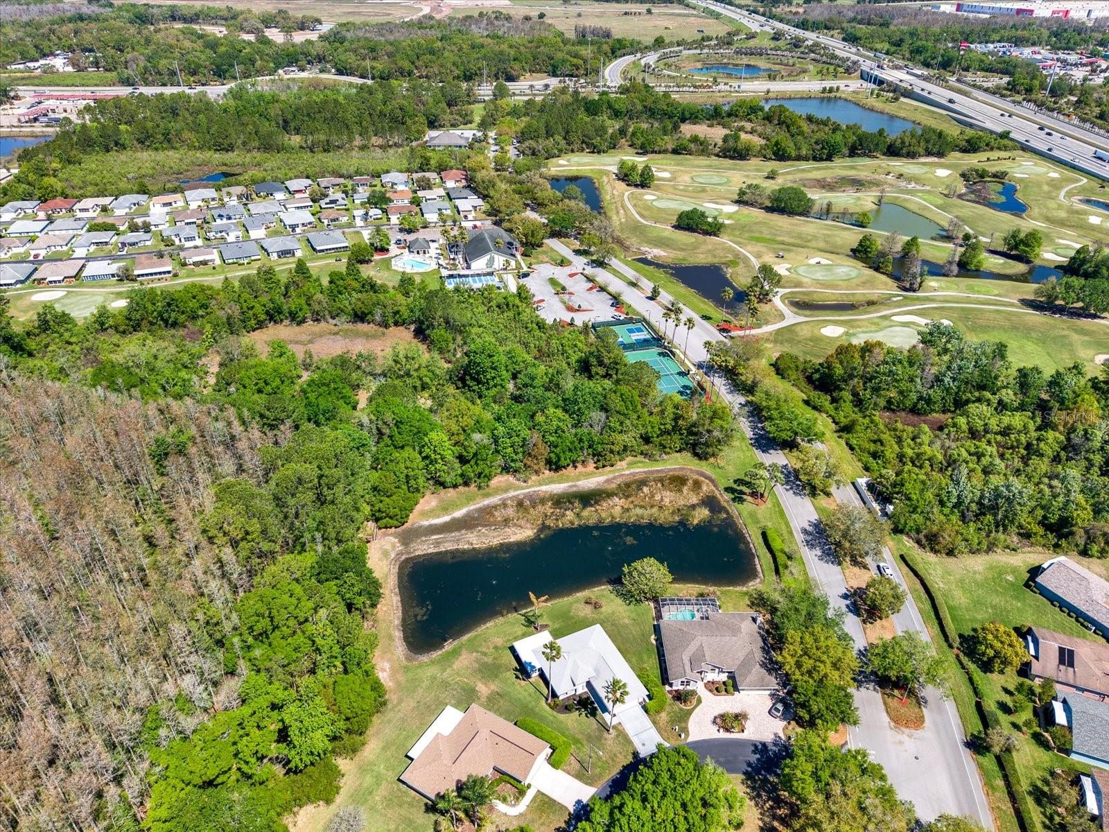 29451 Schinnecock Hills Ln Property Photo 48