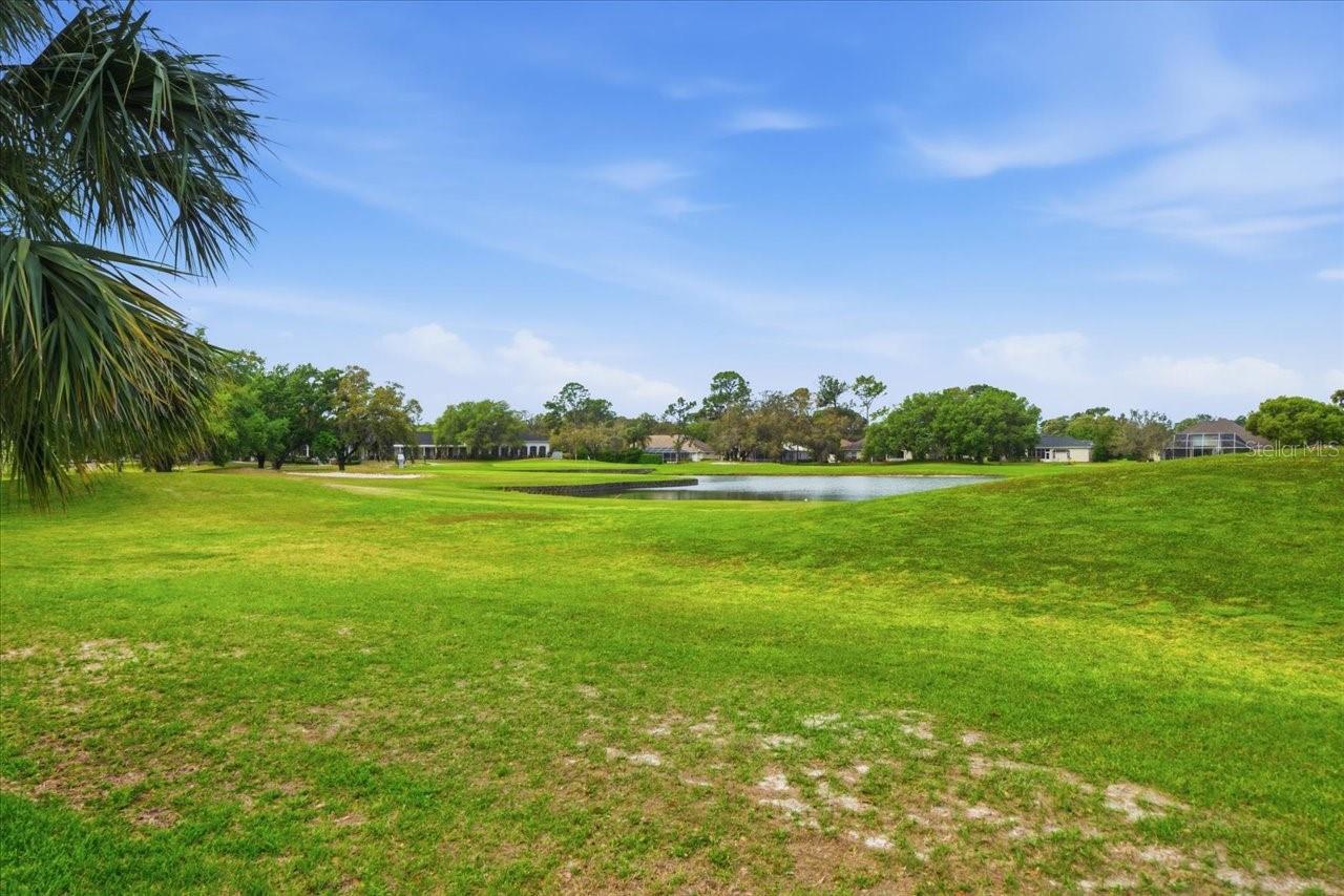 5021 Championship Cup Ln Property Photo 44