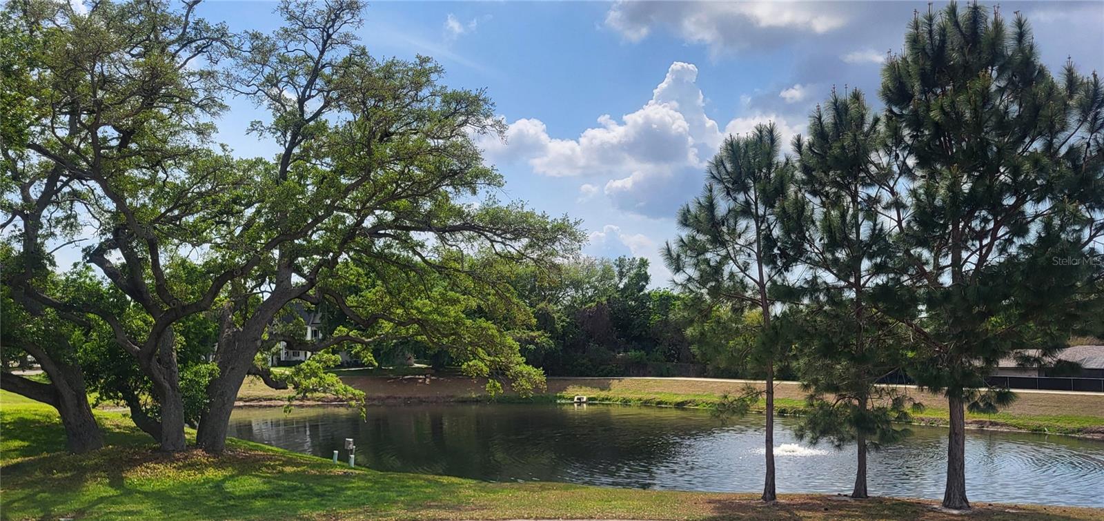 2291 Americus Blvd W #37 Property Photo 3