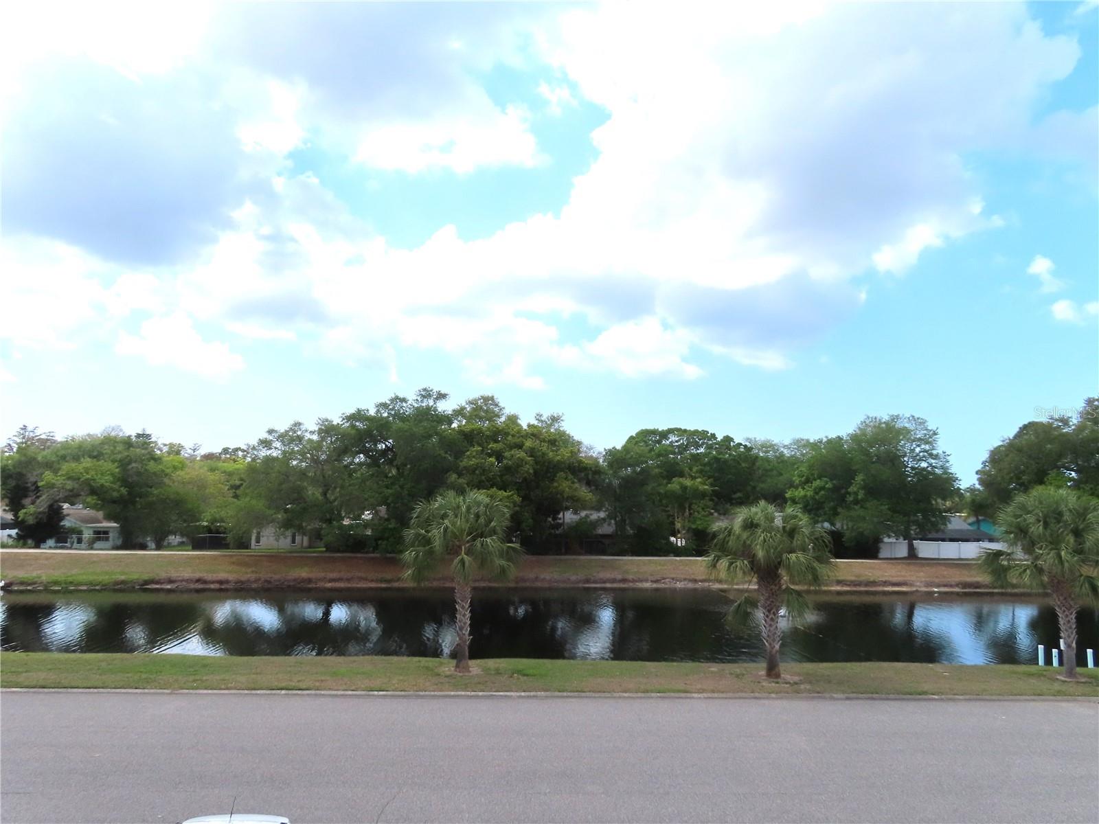 2291 Americus Blvd W #37 Property Photo 5