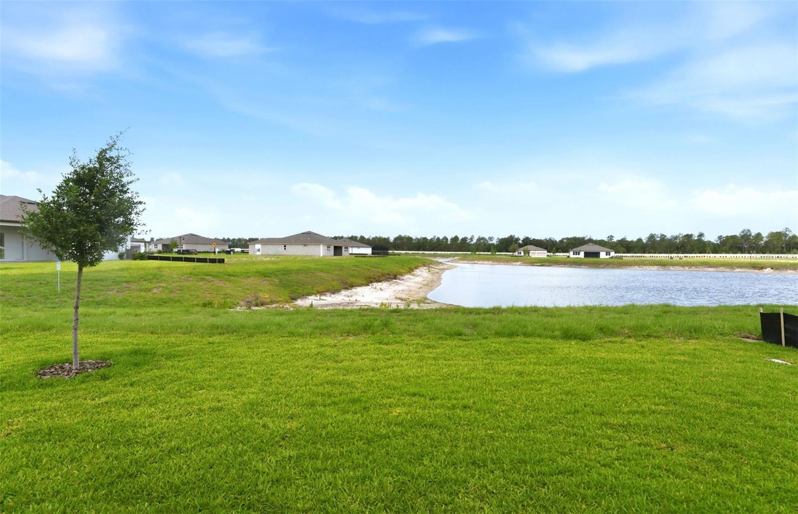 13531 Canyon Ridge Rd Property Photo 17