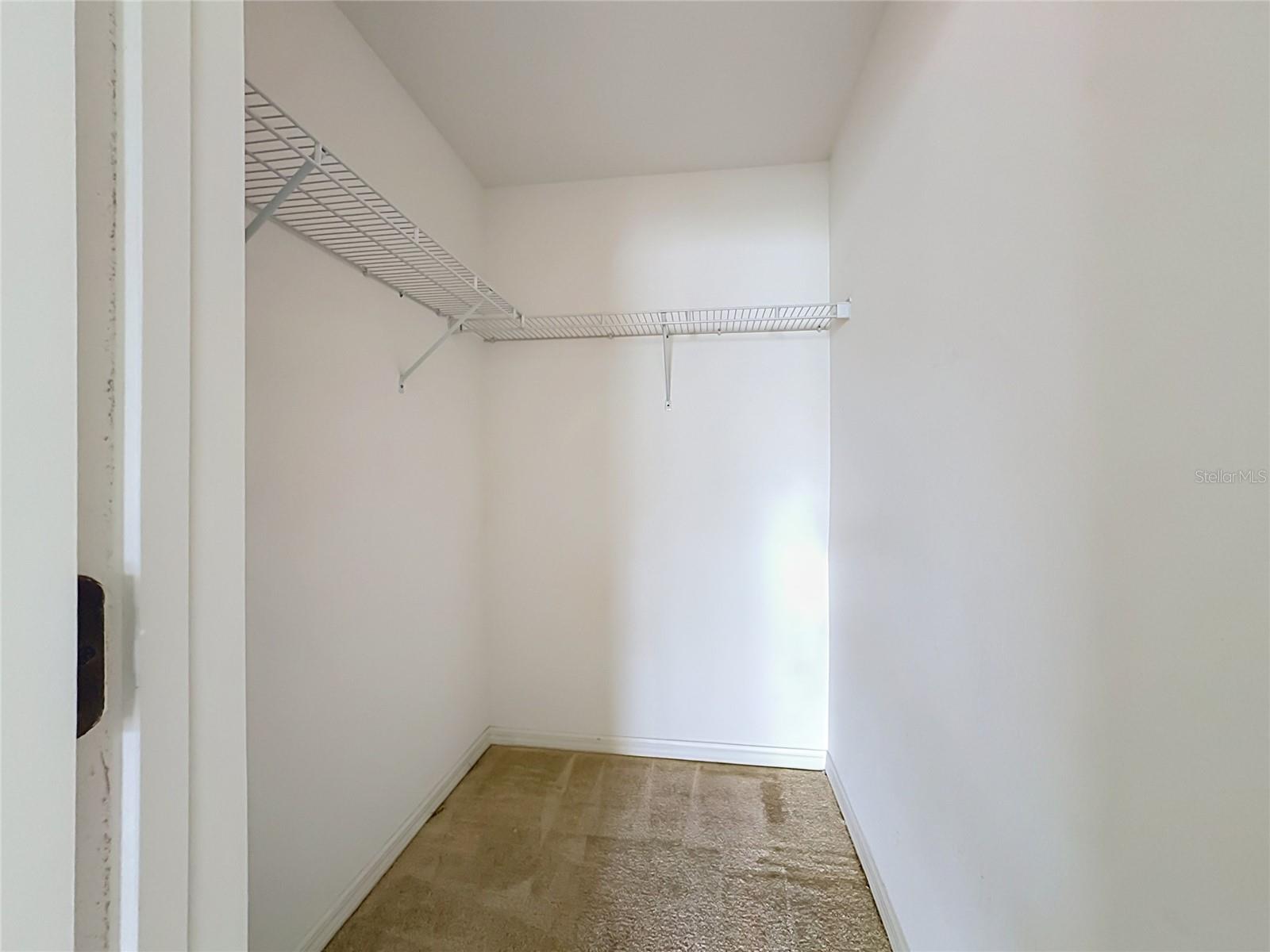10624 Massimo Dr Property Photo 24