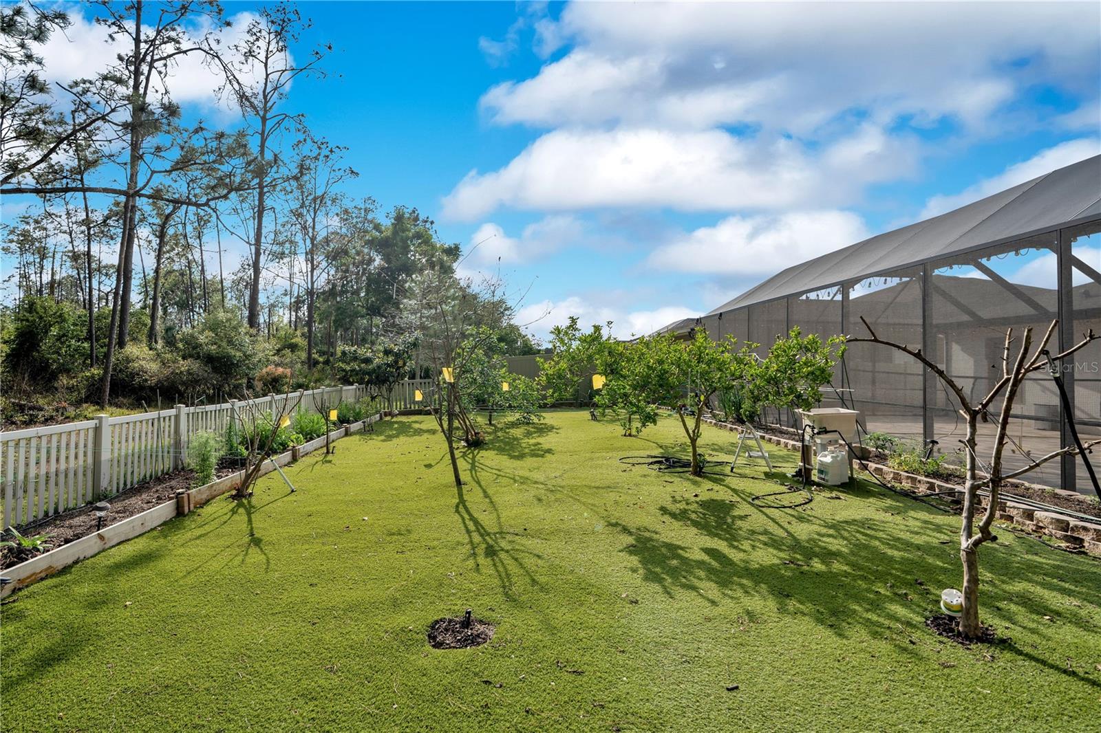 21914 Butterfly Kiss Dr Property Photo 38