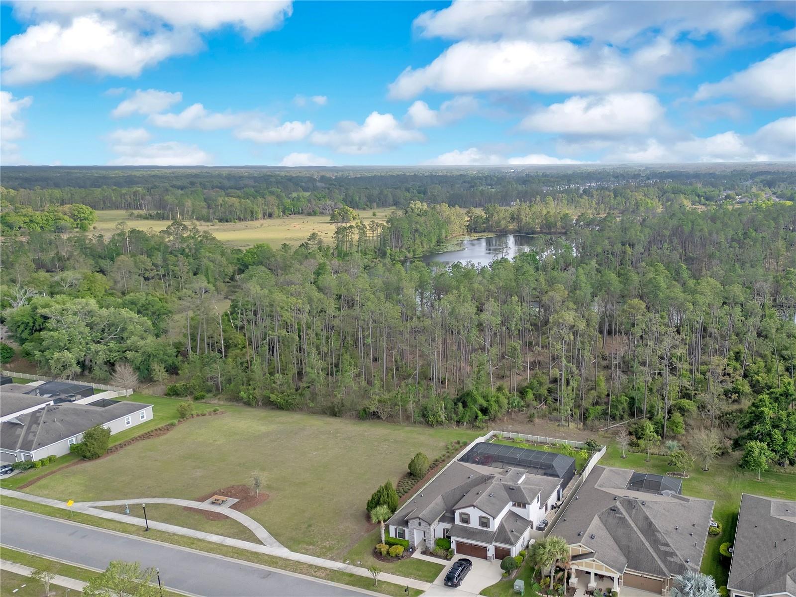 21914 Butterfly Kiss Dr Property Photo 45