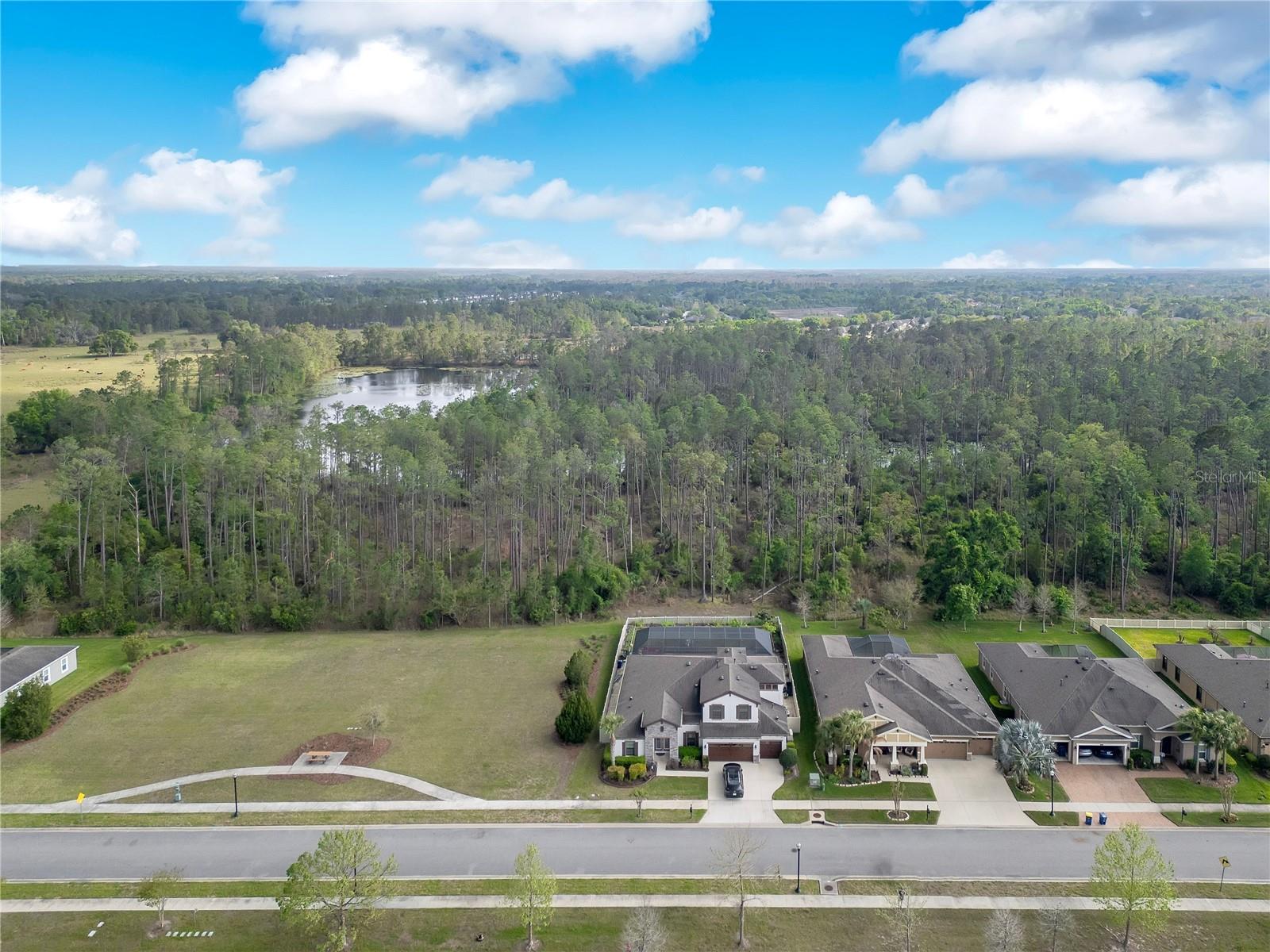 21914 Butterfly Kiss Dr Property Photo 46