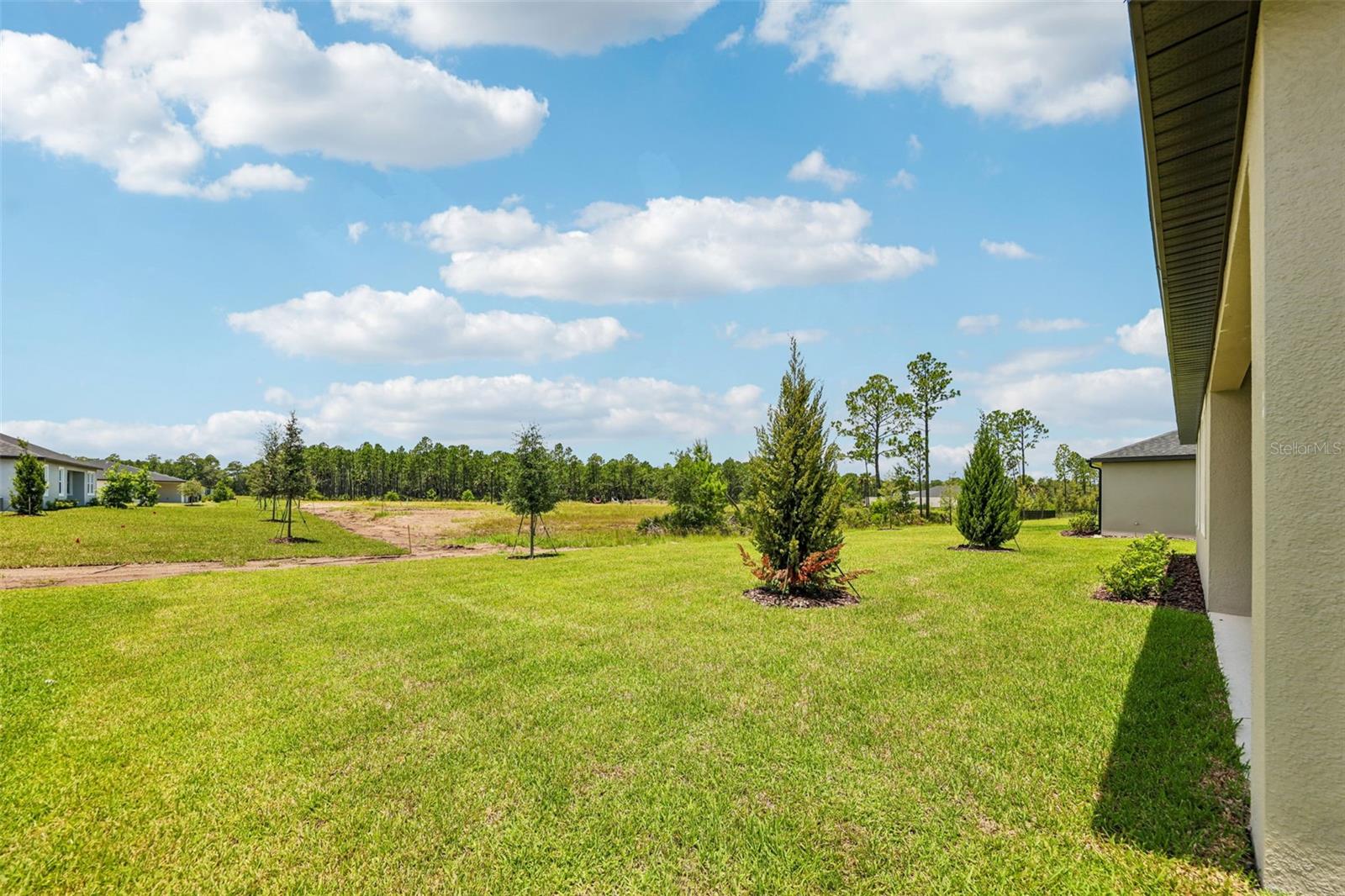 425 Brookhaven Property Photo 38