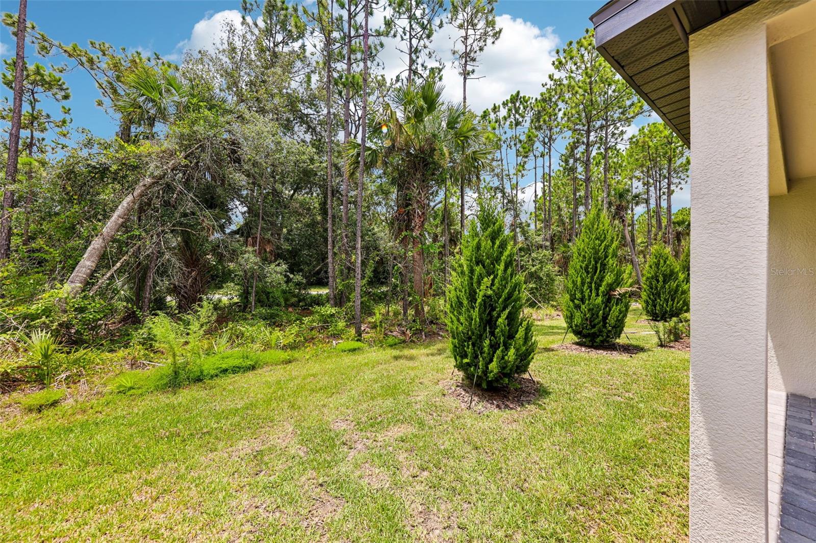 176 Parkhaven Dr Property Photo 34