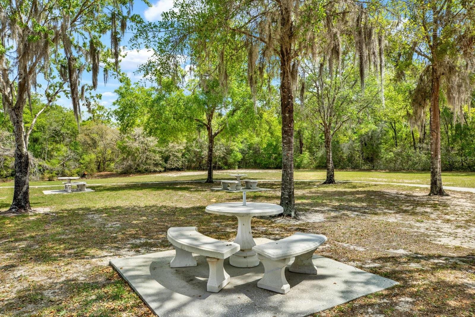 1155 E Bluebird Ct Property Photo 64