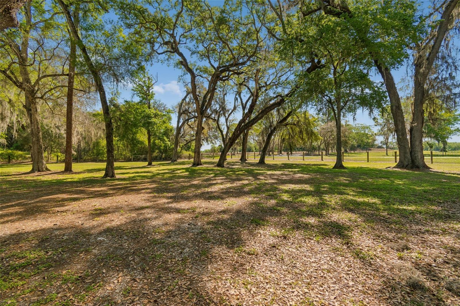 4300 Cr 673 Property Photo 81