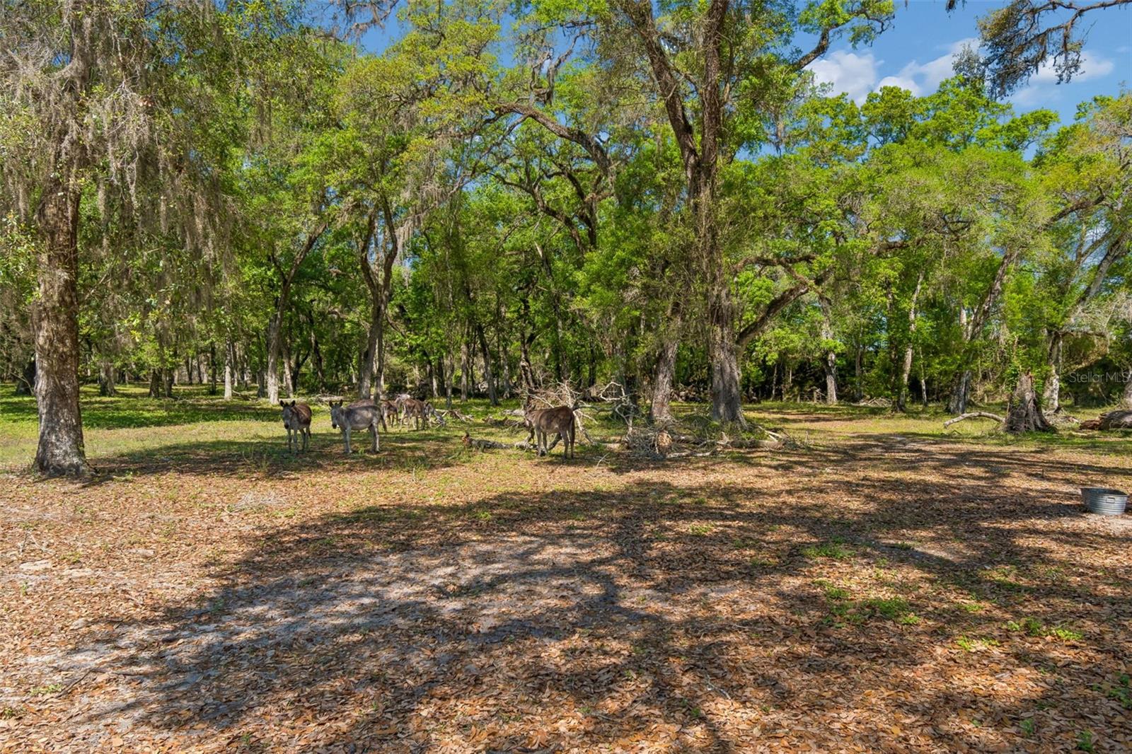4300 Cr 673 Property Photo 83