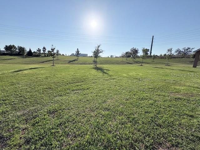 2668 Spider Lily Ct Property Photo 36