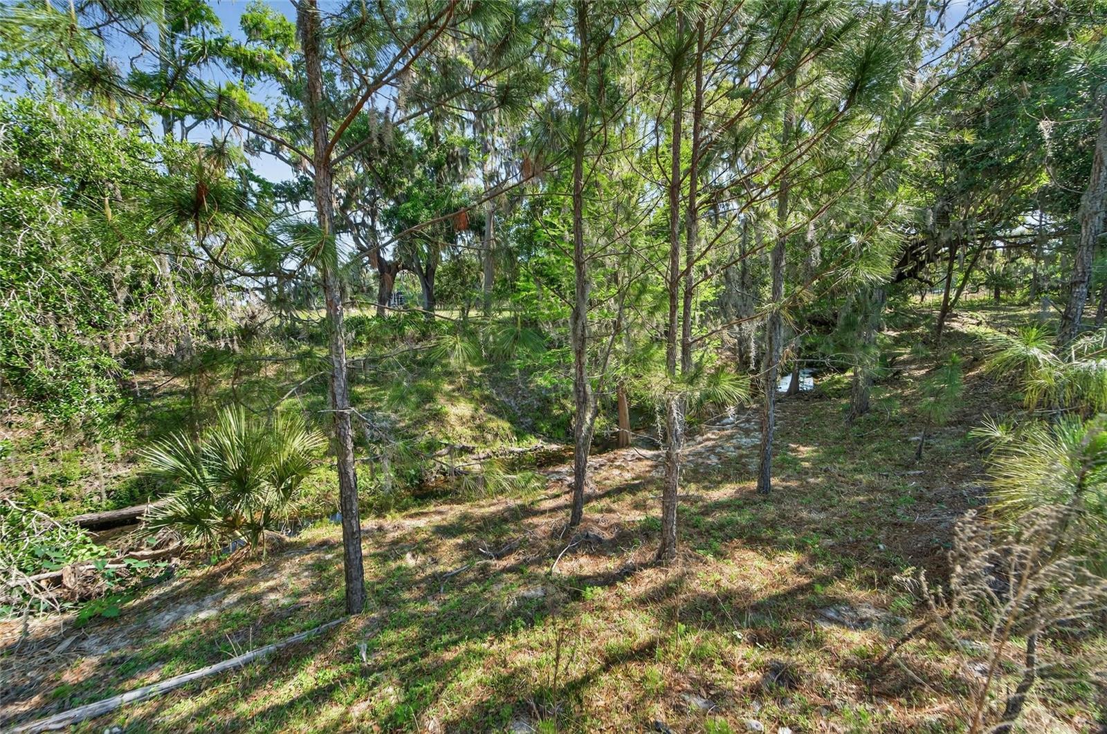 Carlton Rd Property Photo 39