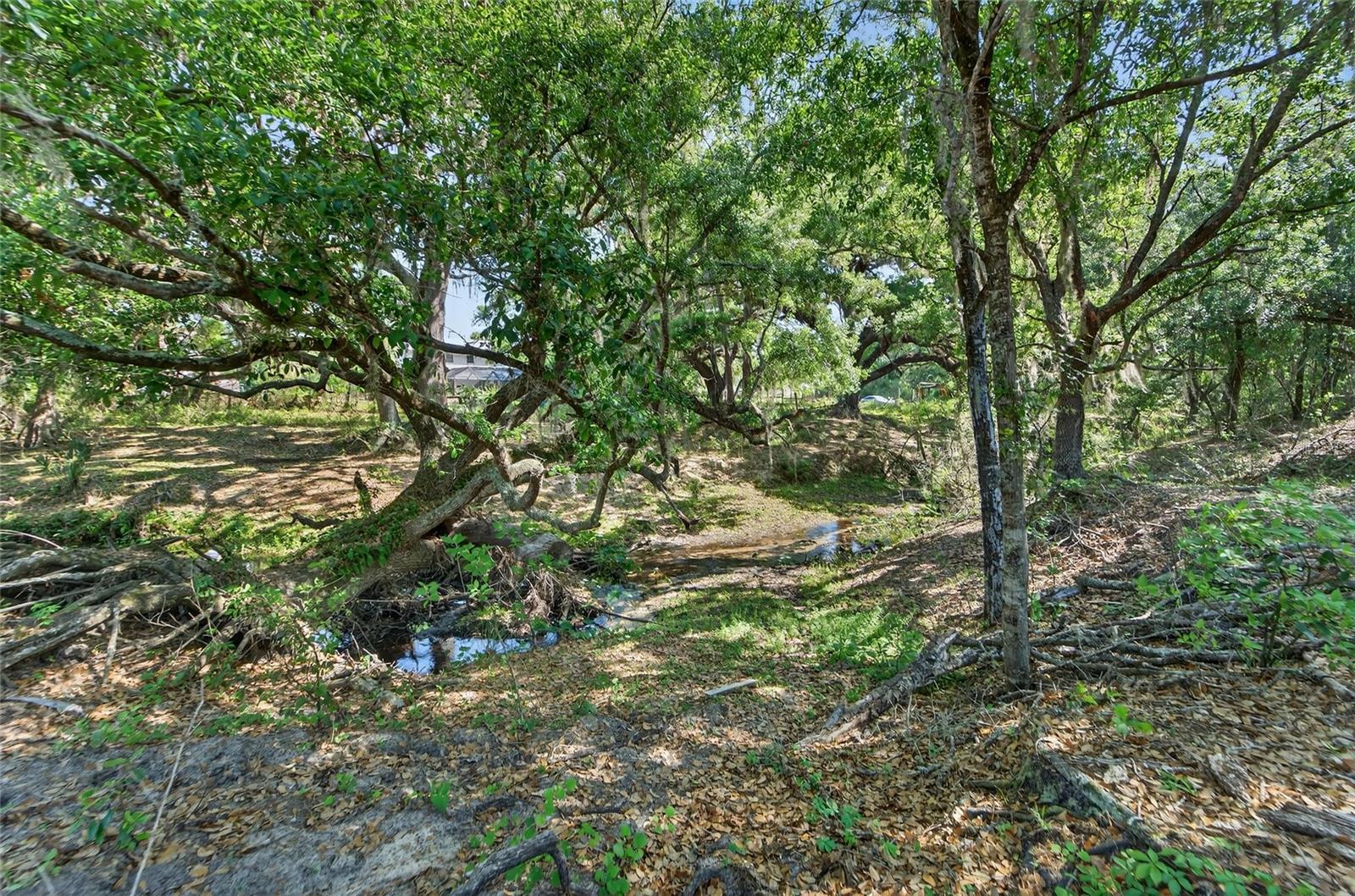 Carlton Rd Property Photo 45