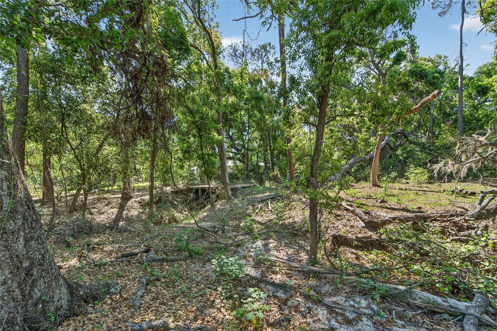 Carlton Rd Property Photo 46