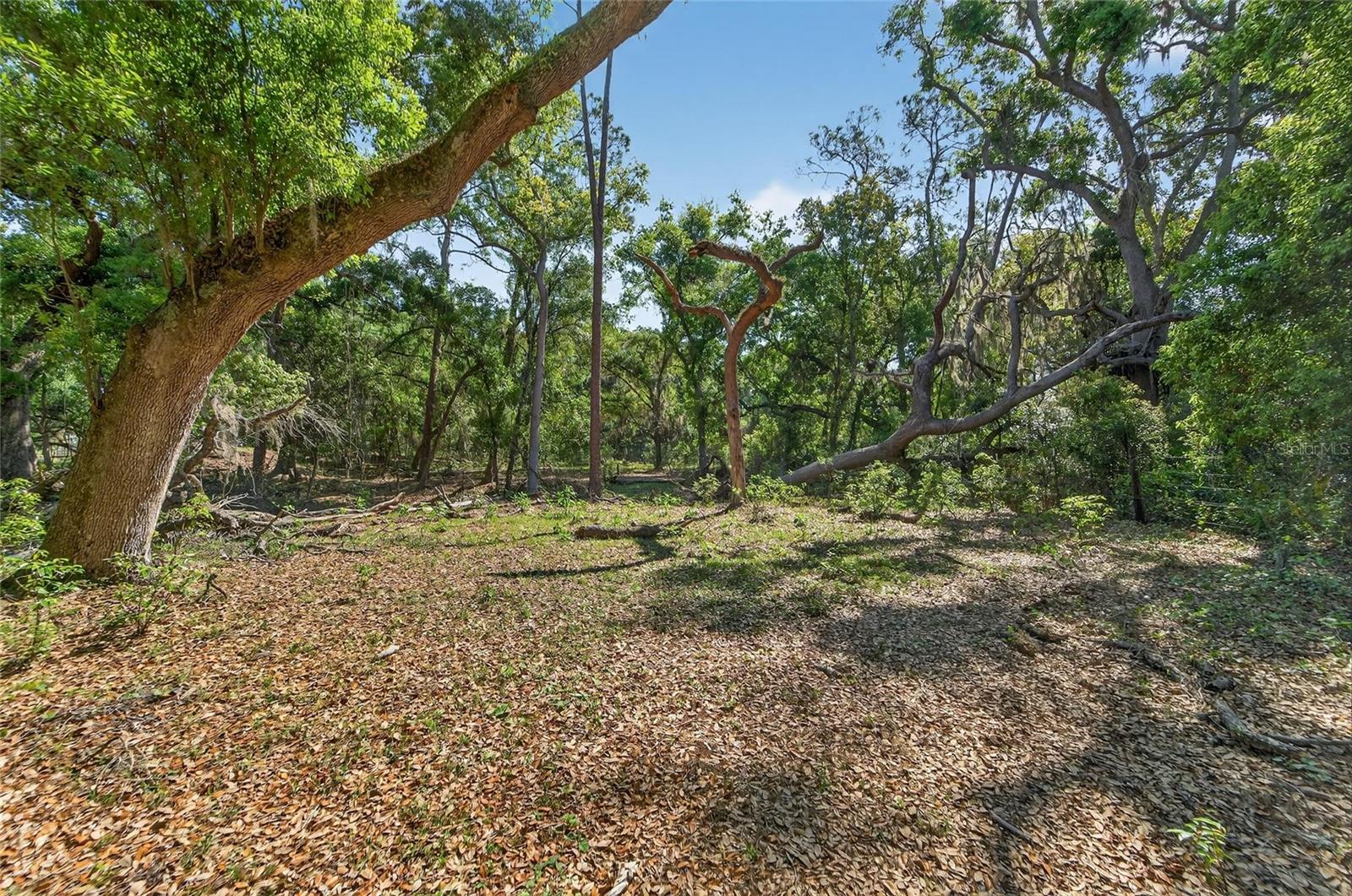 Carlton Rd Property Photo 49