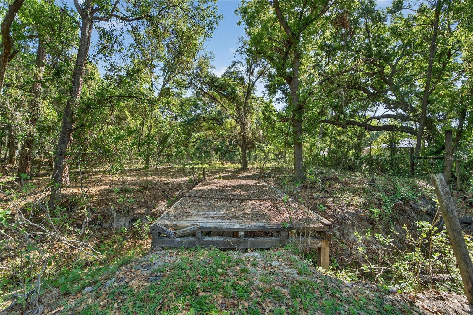 Carlton Rd Property Photo 50