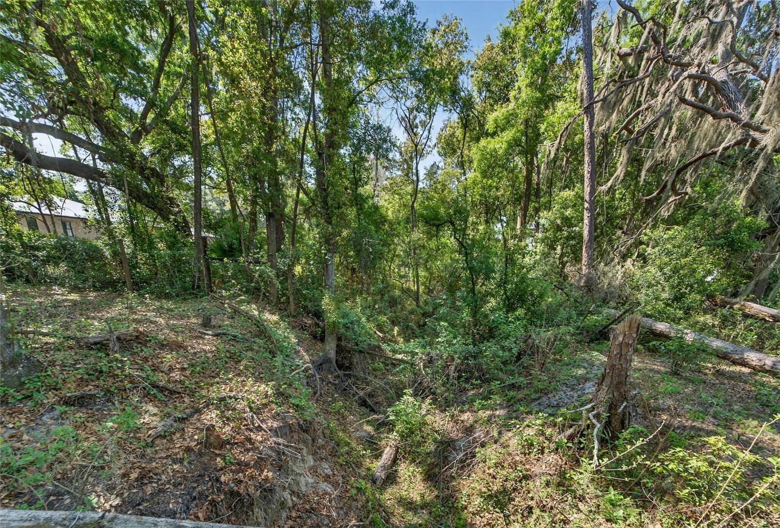 Carlton Rd Property Photo 51
