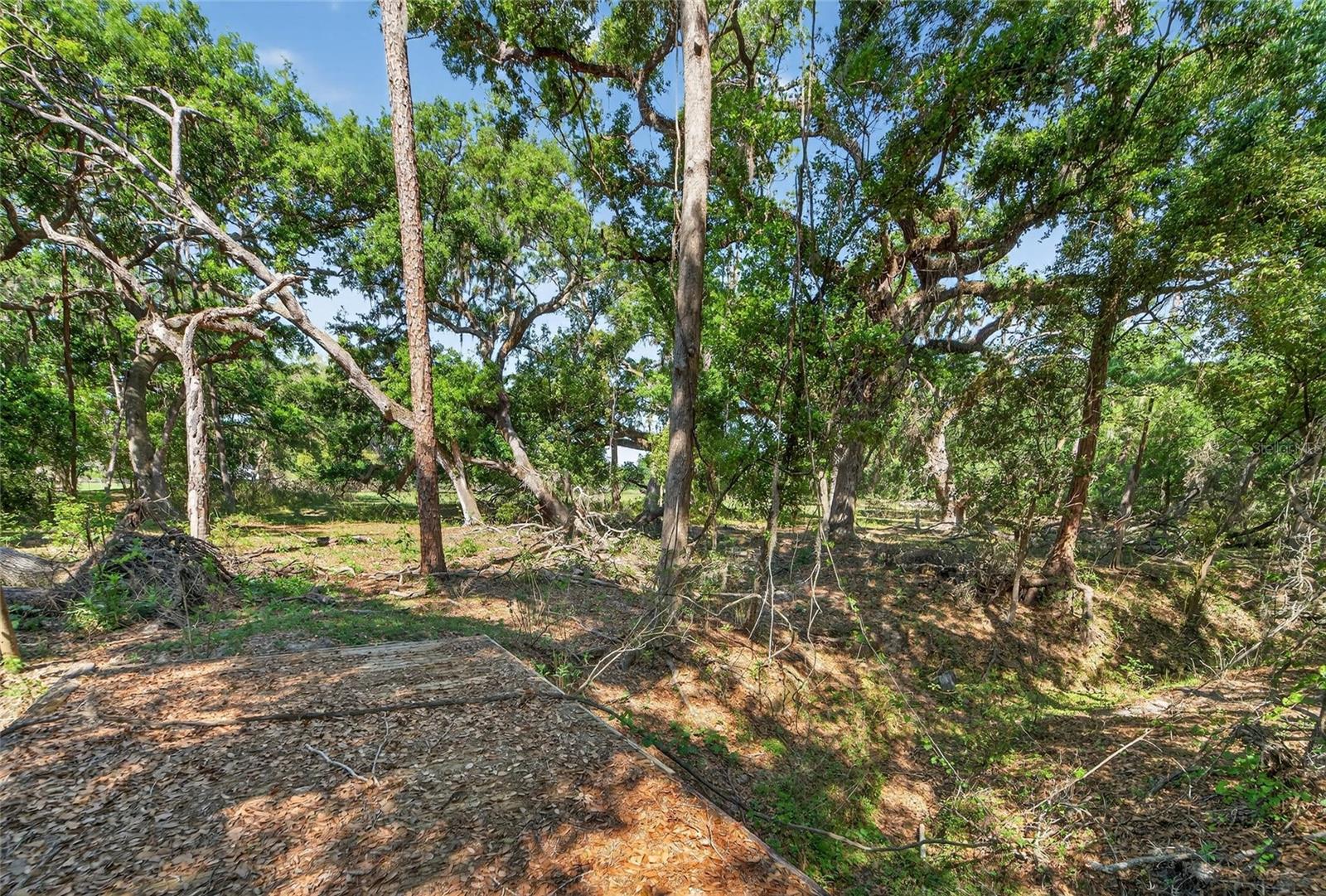 Carlton Rd Property Photo 52