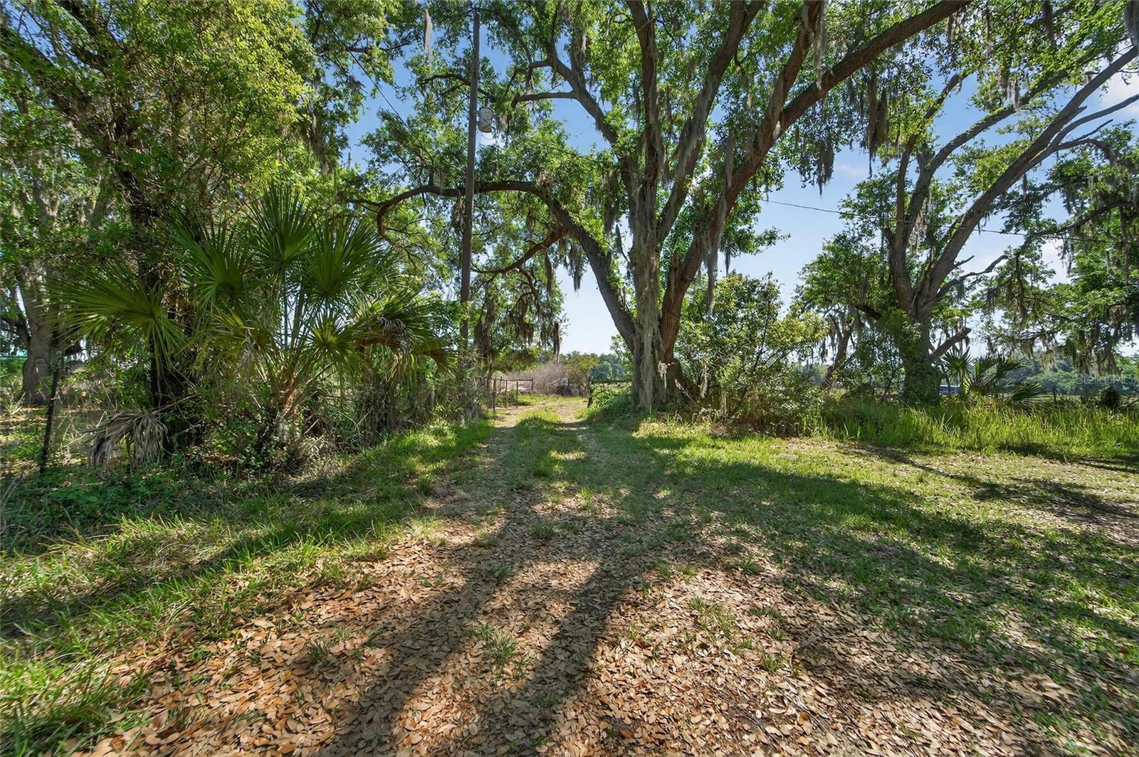 Carlton Rd Property Photo 62