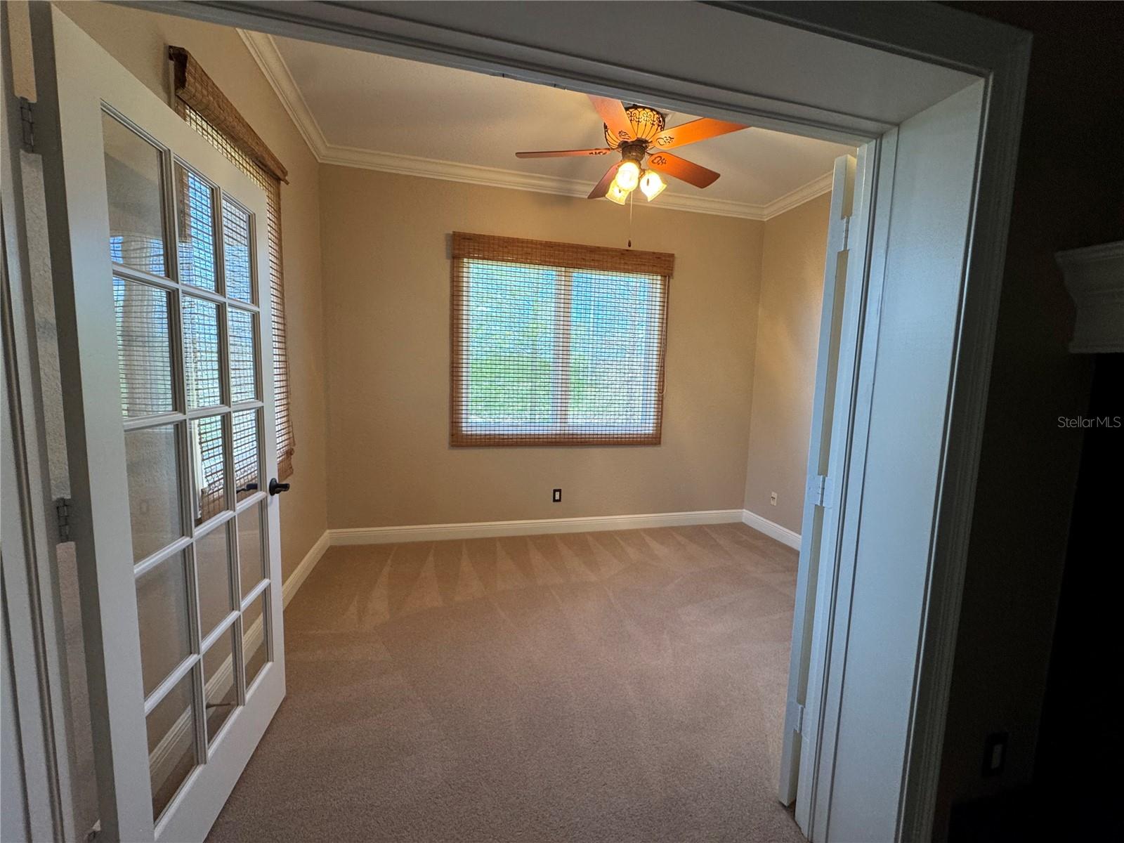 644 Saxony Blvd Property Photo 10