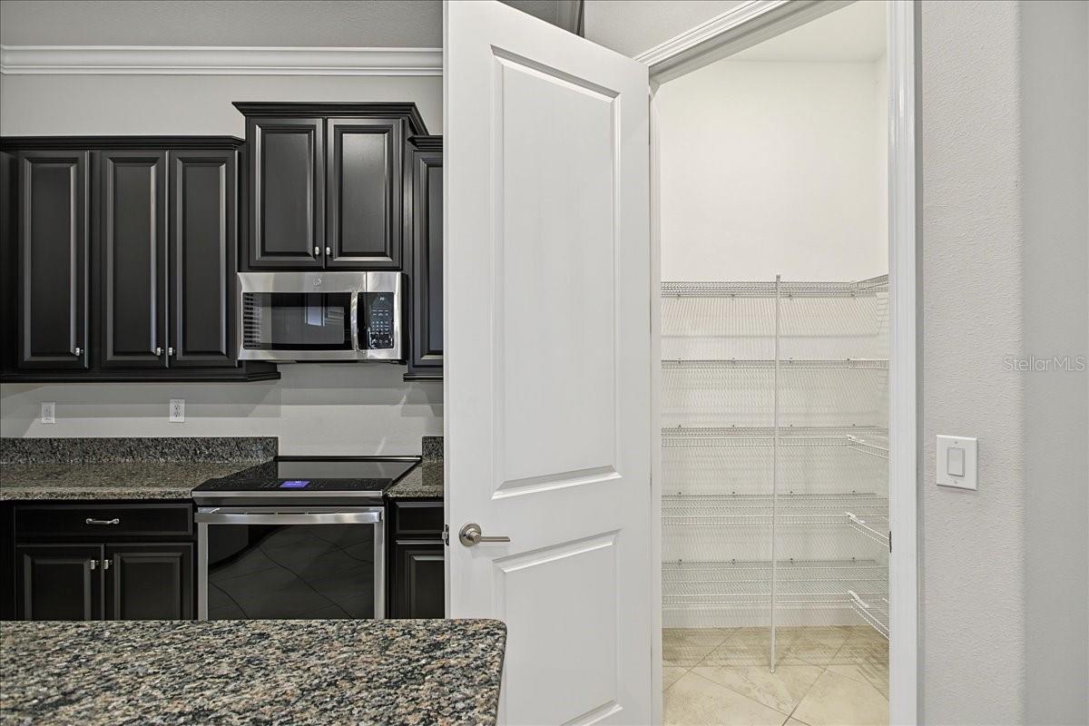 8099 Lago Mist Way Property Photo 21
